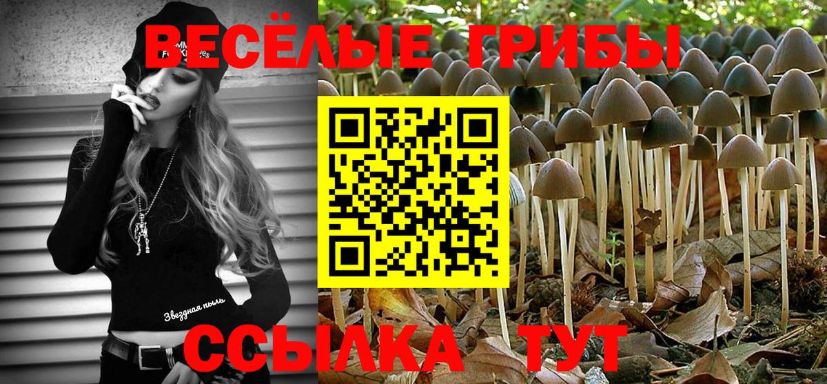Сафоново  Псилоцибиновые грибы Psilocybine cubensis  Вход с VPN 